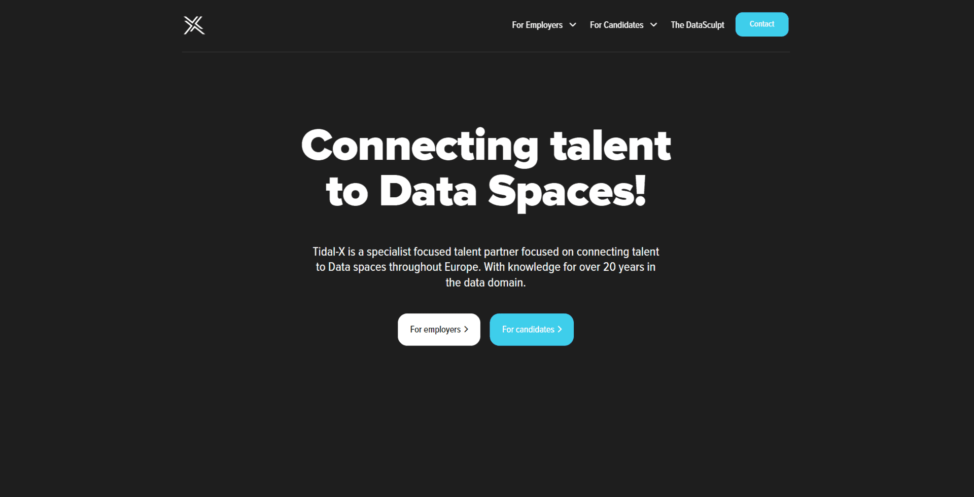 Bird Marketing agency's portfolio